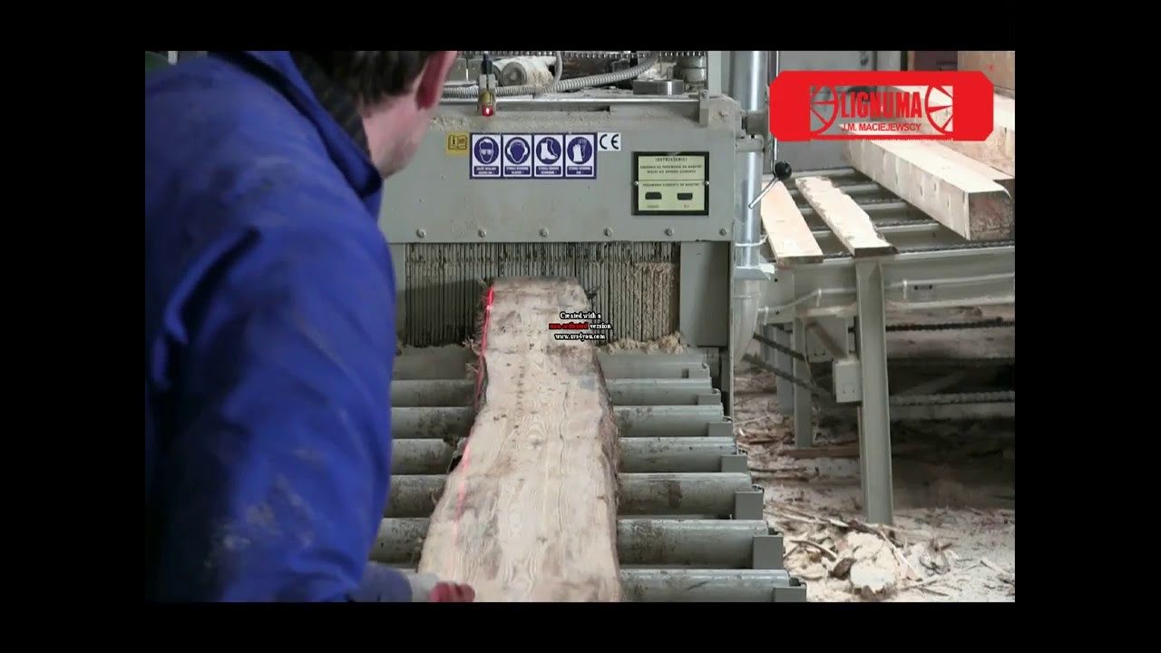 LIGNUMA Wielopiła WP-500
