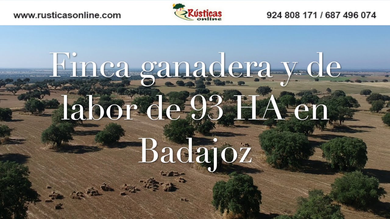 Dehesa de 93ha de encinas y alcornoques con tierra de labor en Badajoz