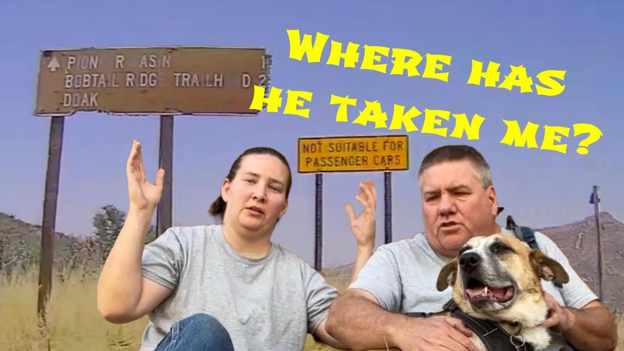 Exploring Pioneer Pass: Scenic Road Trip from Globe to Pinal Peak | A&G Adventures
