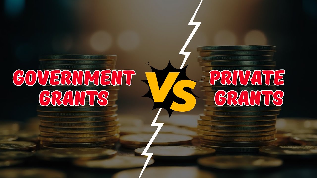Government vs. Private Grants: Which Is Right for Your NGO?