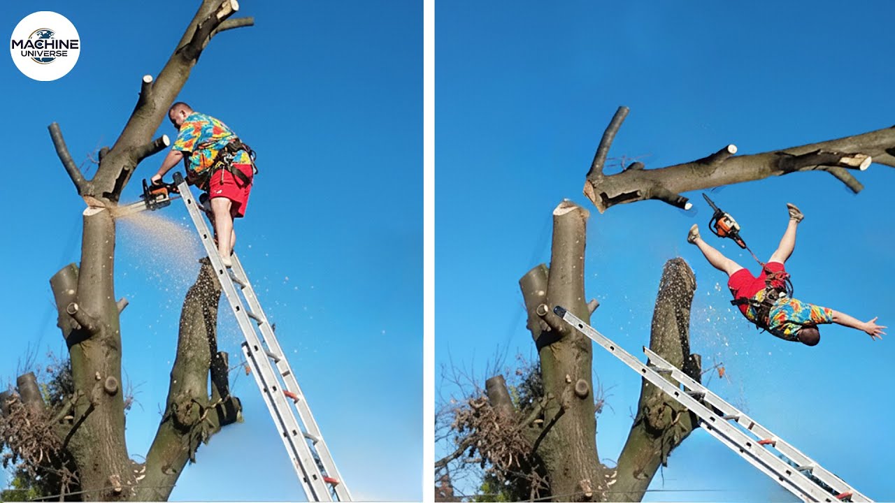 Idiots With Chainsaws: Tree Cutting Fails | Extreme Dangerous Logging Truck Fails
