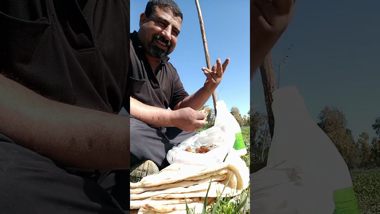 الف الحمدلله