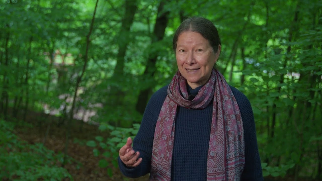 Honorary Doctorate 2022: Anna Tsing (ARTS)