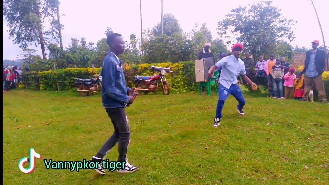 SAURASTARS fT VANNYPKOY TIGER 🐯