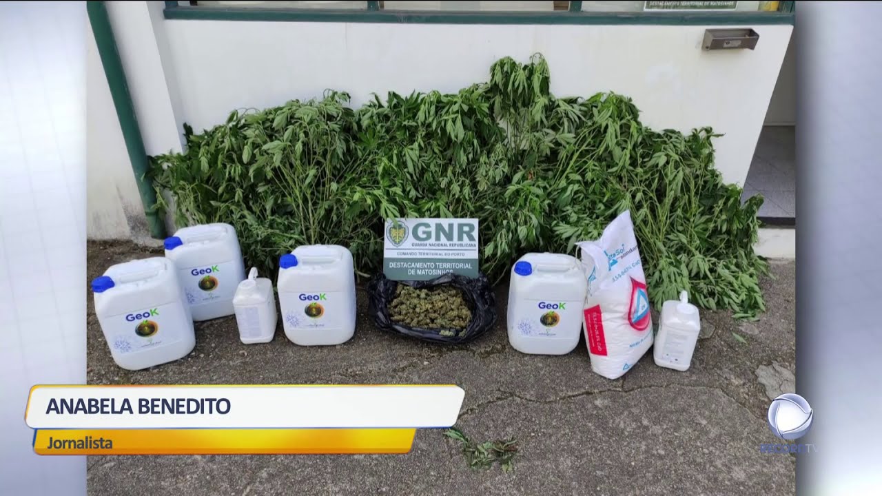 Tráfico de Droga em Vila do Conde