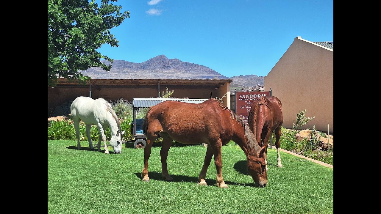 PART 2, Cederberg Rooftop Tent Trip  