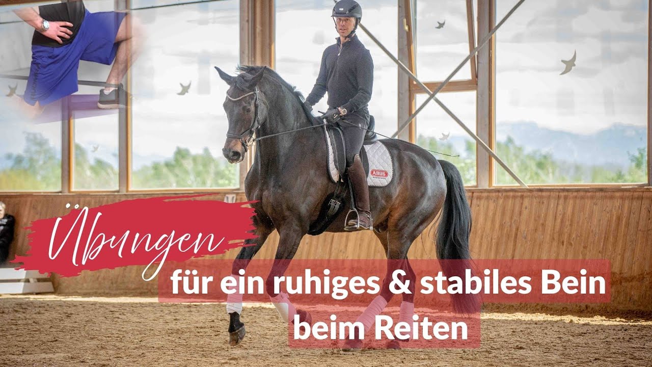 3 Übungen für ein ruhiges & stabiles Bein beim Reiten