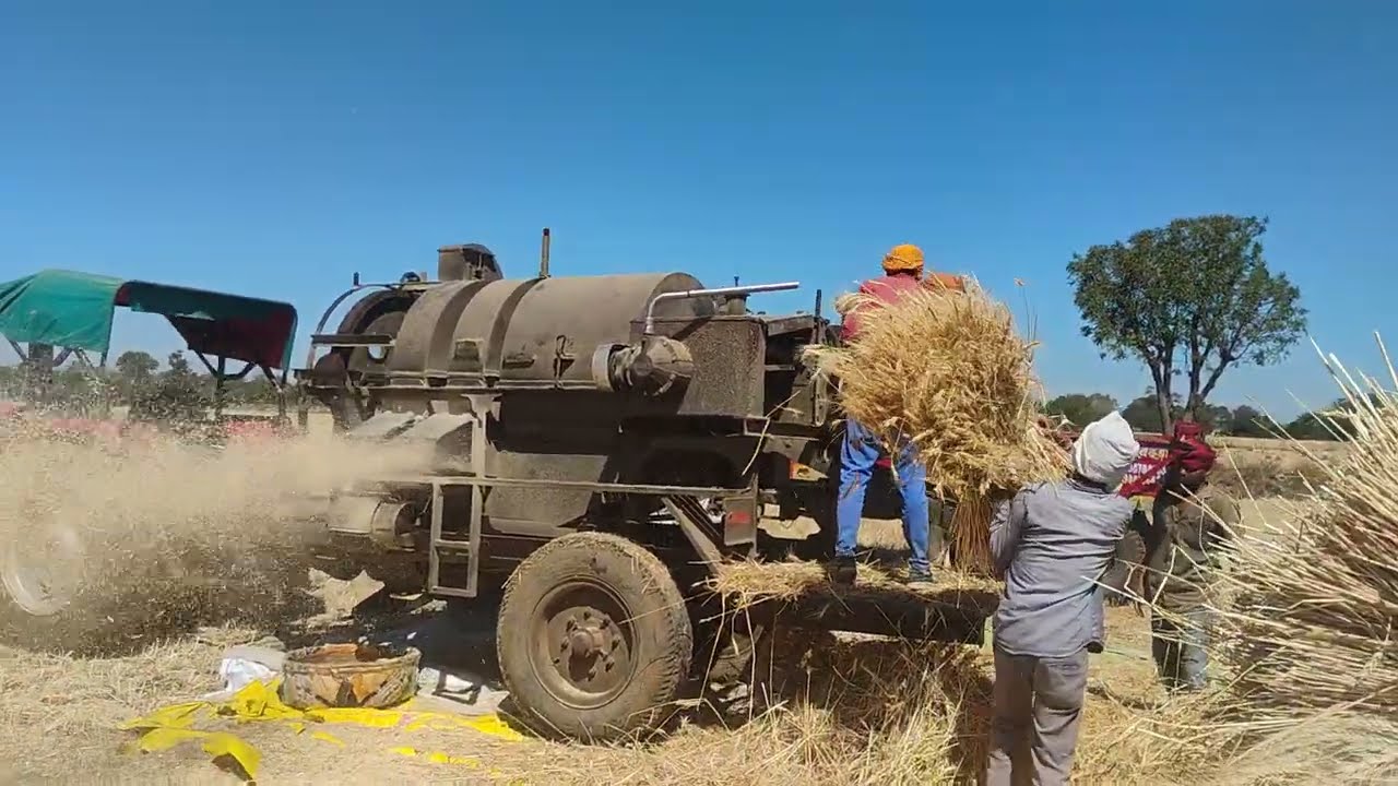 जाला भूत की मशीन गेहूं की सेटिंग और बहुत अच्छी परफोर्मेंस और पूरी जानकारी 2025 ।#masseyferguson