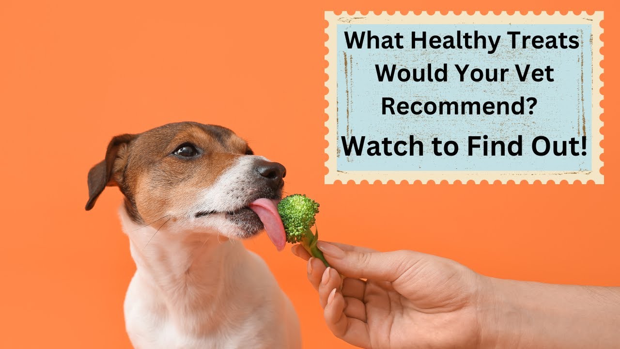 Best Healthy Dog Treats that are Veterinarian Approved
