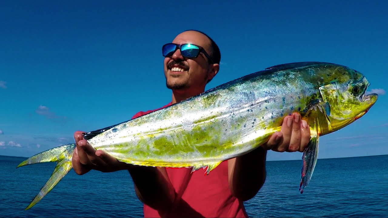 SPINNING INSHORE - Lampughe d'autunno