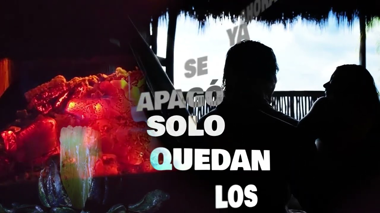 EL DÍA QUE DIJIMOS NO (Videolyric)