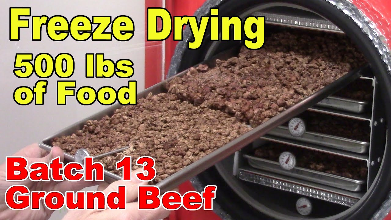 Freeze Drying Your First 500 lbs of Food - Batch 13  -  Ground Beef, Lean, Coarse Ground