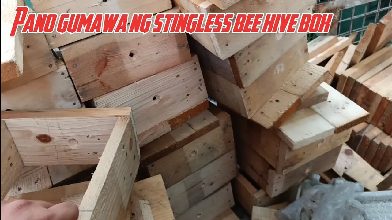 Para makatipid gumawa tayo ng sariling  stingless bee hive box. (first time gumawa)