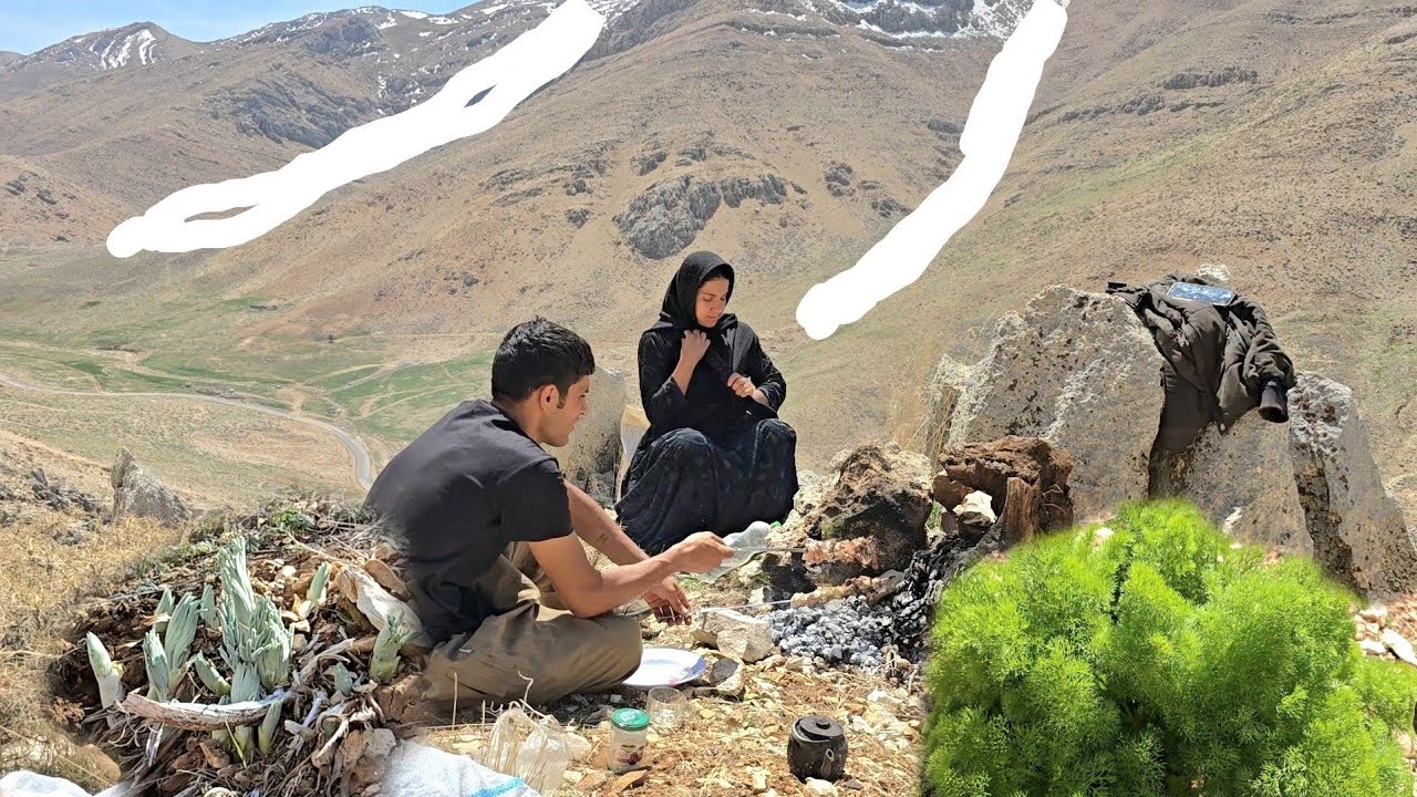 Living in the heart of the mountains harvesting mountain plants with a nomadic family real experienc