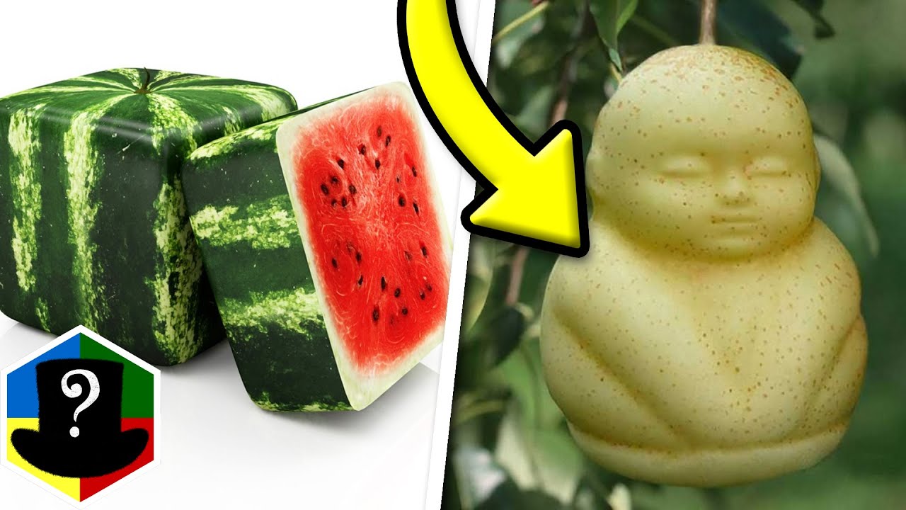 TOP 10 Dyreste Frugter i Verden!