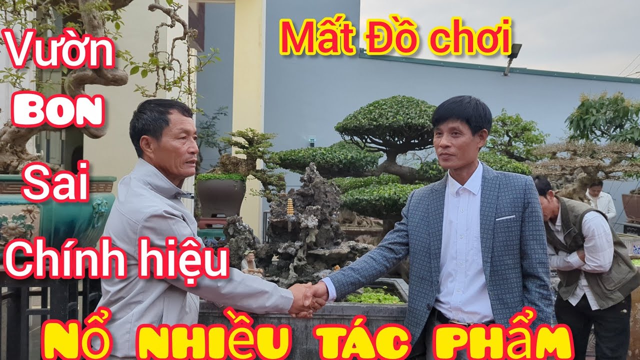 Hót.. nhất thị trường nhiều cây đẹp và bể đá cổ được giao dịch rất nhanh tại vườn bonsai chính hiệu 