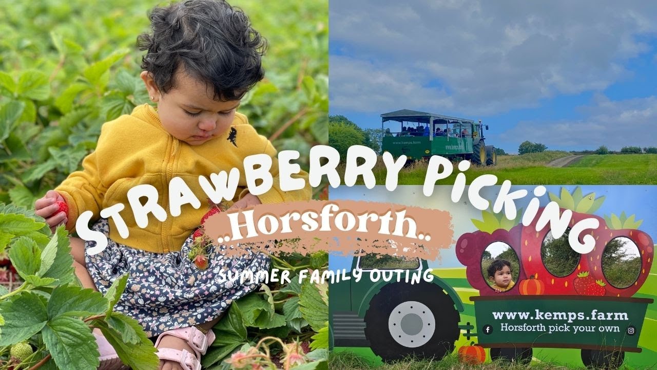 STRAWBERRY PICKING | Horsforth Pick Your Own, Kemps Farm, Leeds