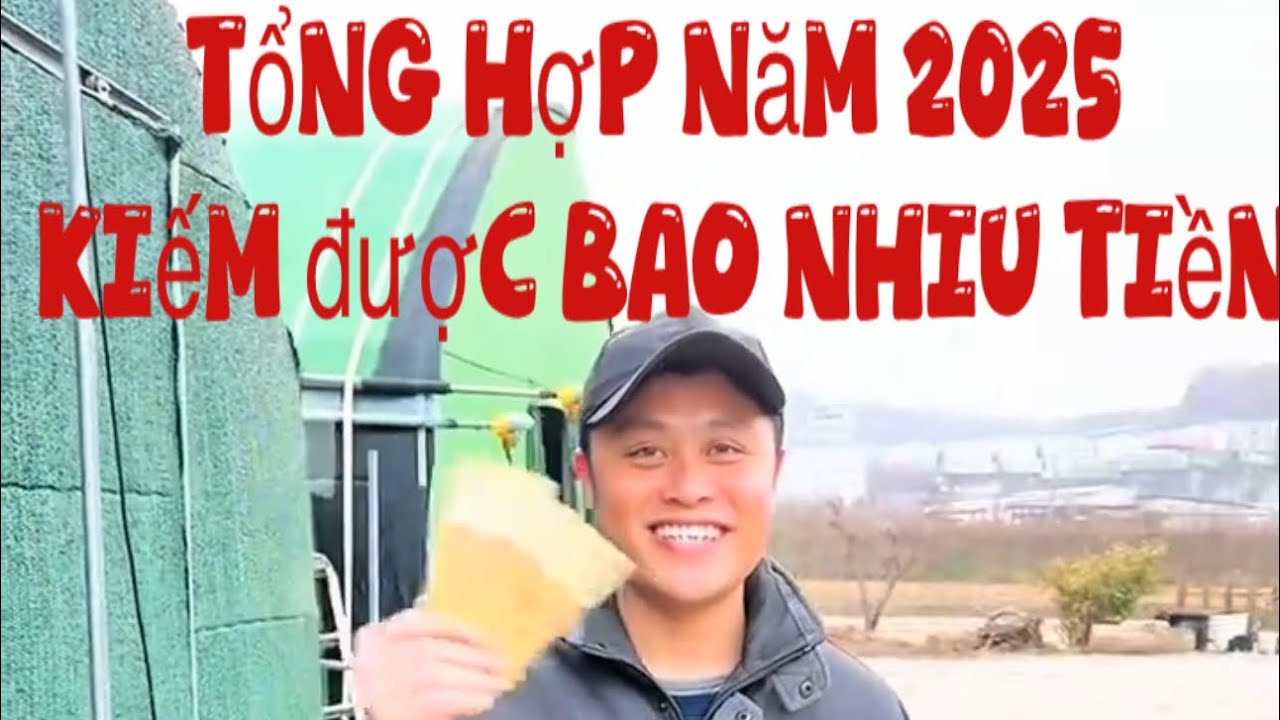 Tổng hợp năm 2025 kiếm được bao nhiều bên Hàn Quốc