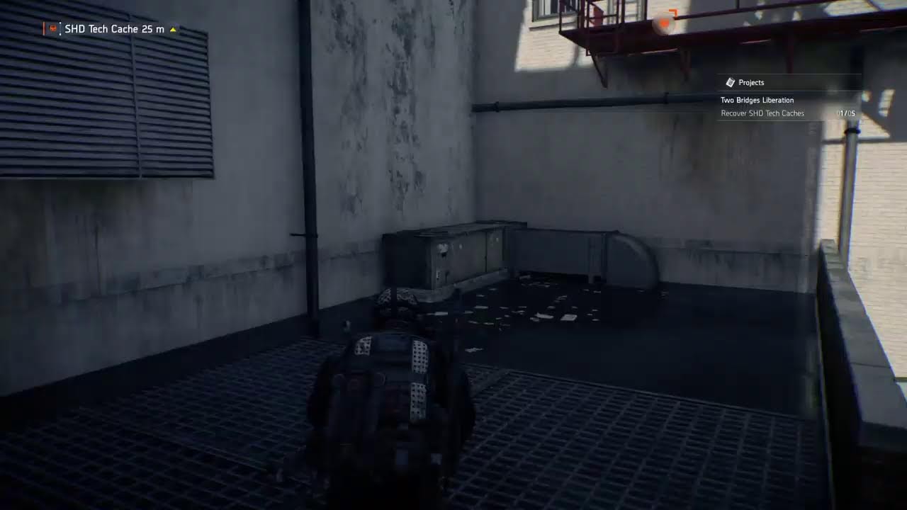 Division 2 Vamp lyfe 