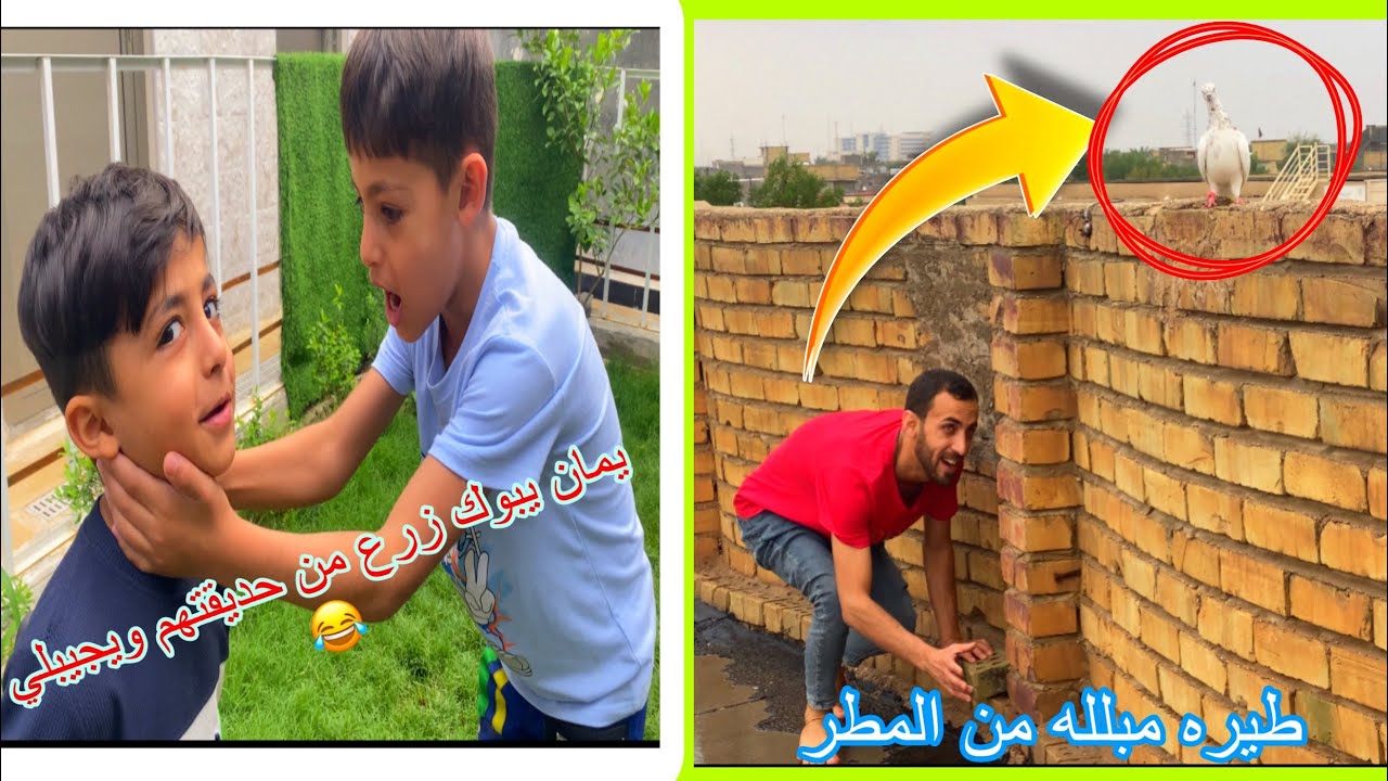 مطار قويه اني ويمان ردنه نبوك زرعات🌱ياني بس دانيال ماقبل