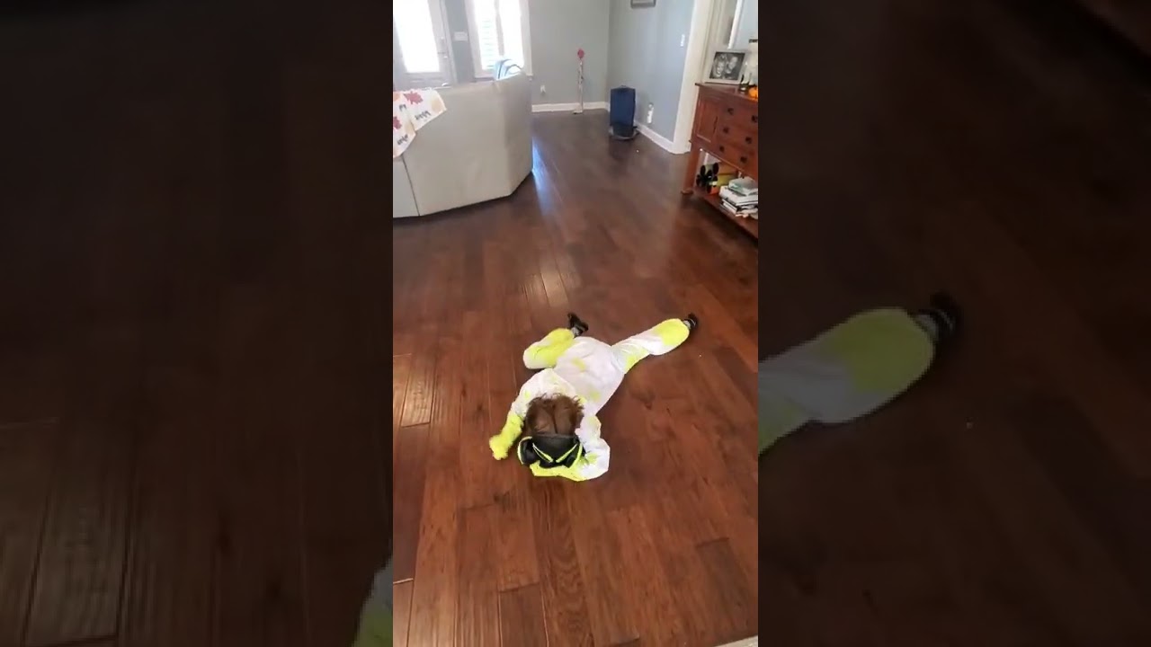 Hazmat Halloween Slide