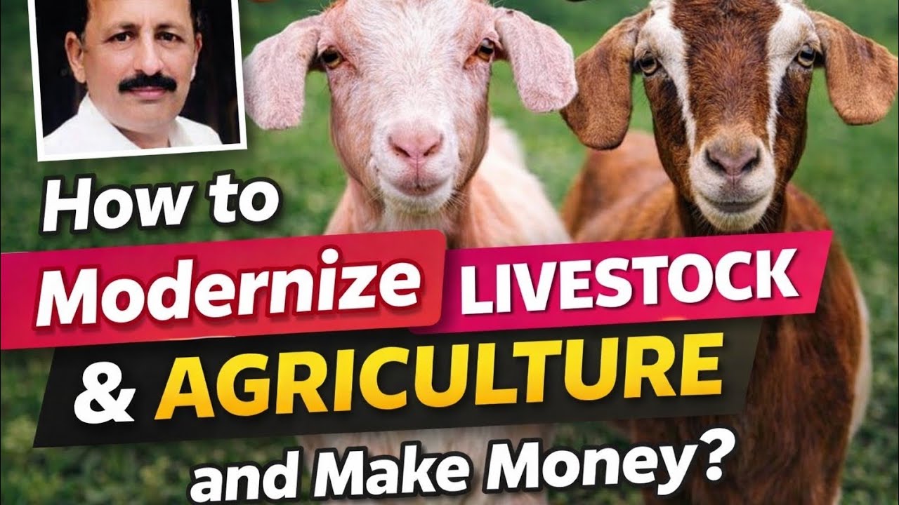 Smart Livestock Farming for High Profit. 