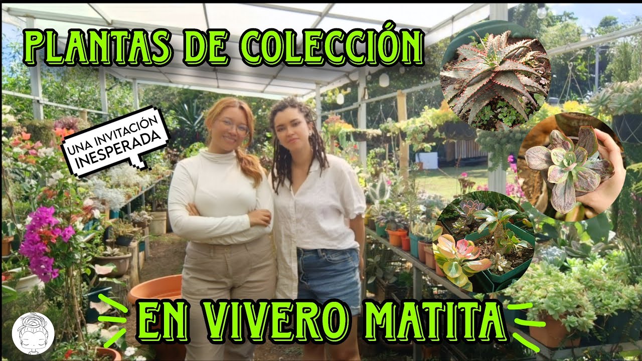Asi es el vivero más acogedor que he visitado ¡Y es de una suscriptora! 1/2 🤩✨☕🌷🍕🌵🪴