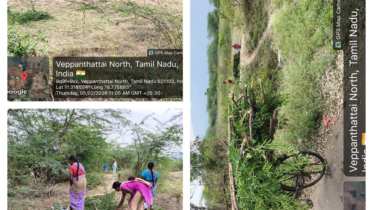 பெரம்பலூர் மாவட்டத்தில் எங்களுடைய 100 நாள் வேலை பணிகள் 