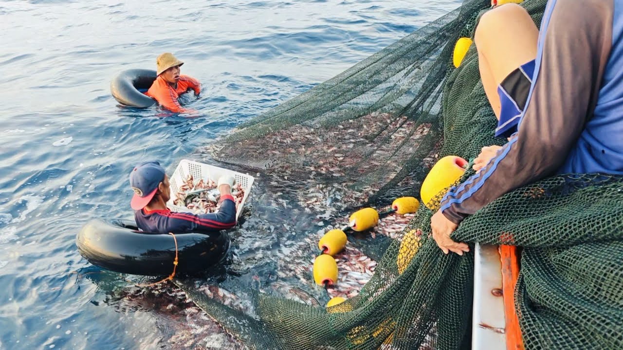15 Baskets in Total!! Dawn Catches a Lot of Fish and Tuna - Nelayan Story Vlog