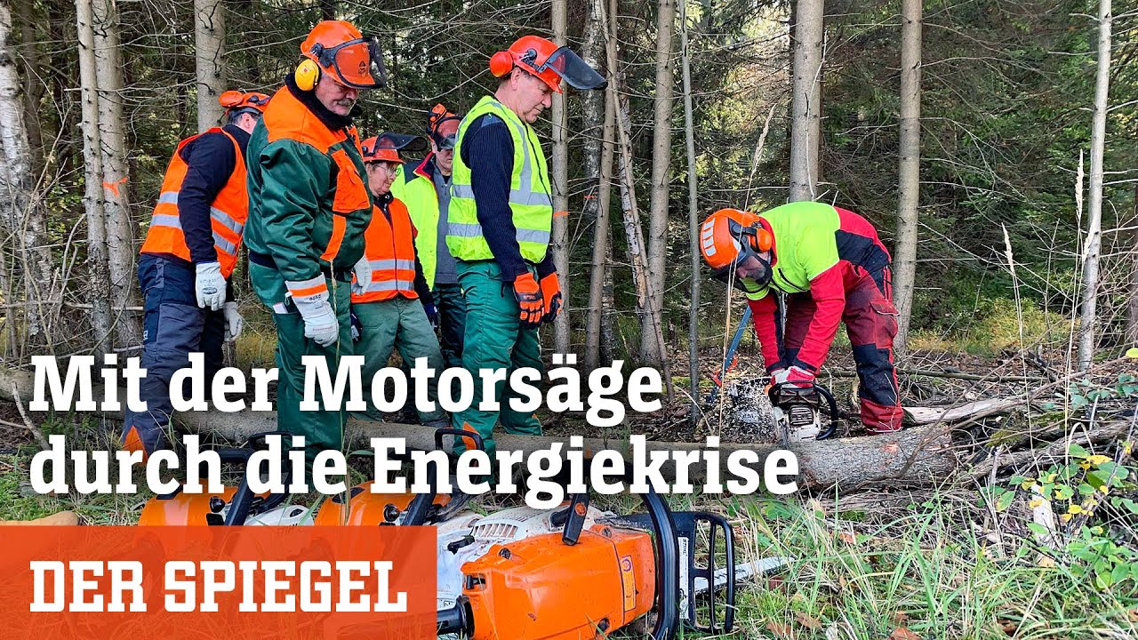 Brennholz-Selbstwerber im Wald: Mit der Motorsäge durch die Energiekrise | DER SPIEGEL