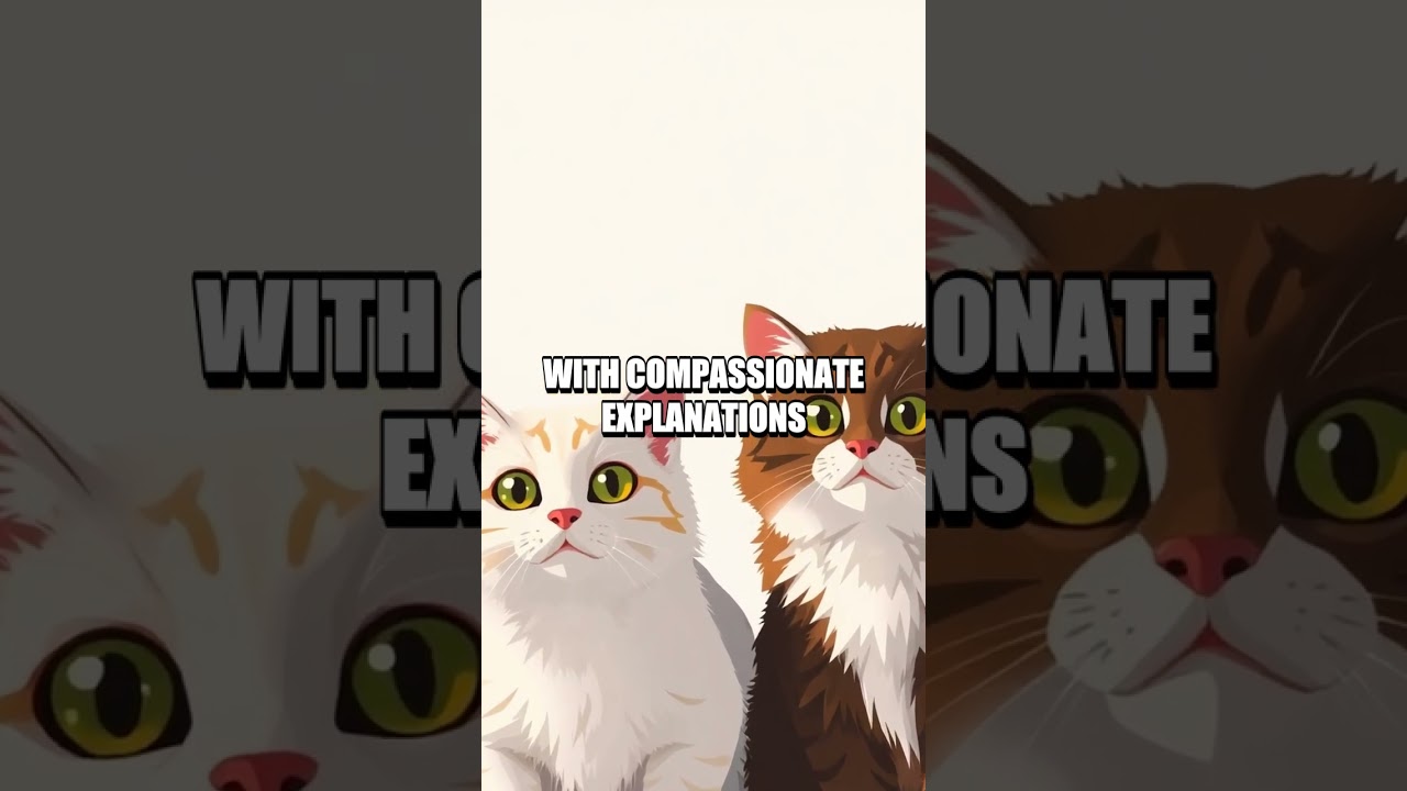 Whisker Sparks Daily Cat Care Essentials