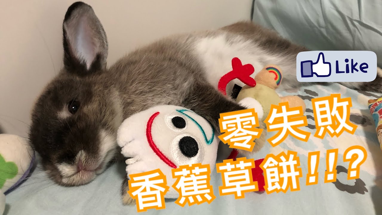 ［兔兔零食］兔奴必看!!零失敗香蕉草餅