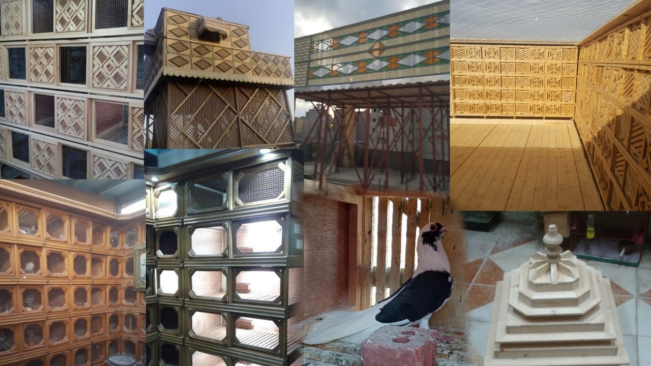 التألق والابداع يتحدثون مع الشيخ مجدى ابن الاسكندريه