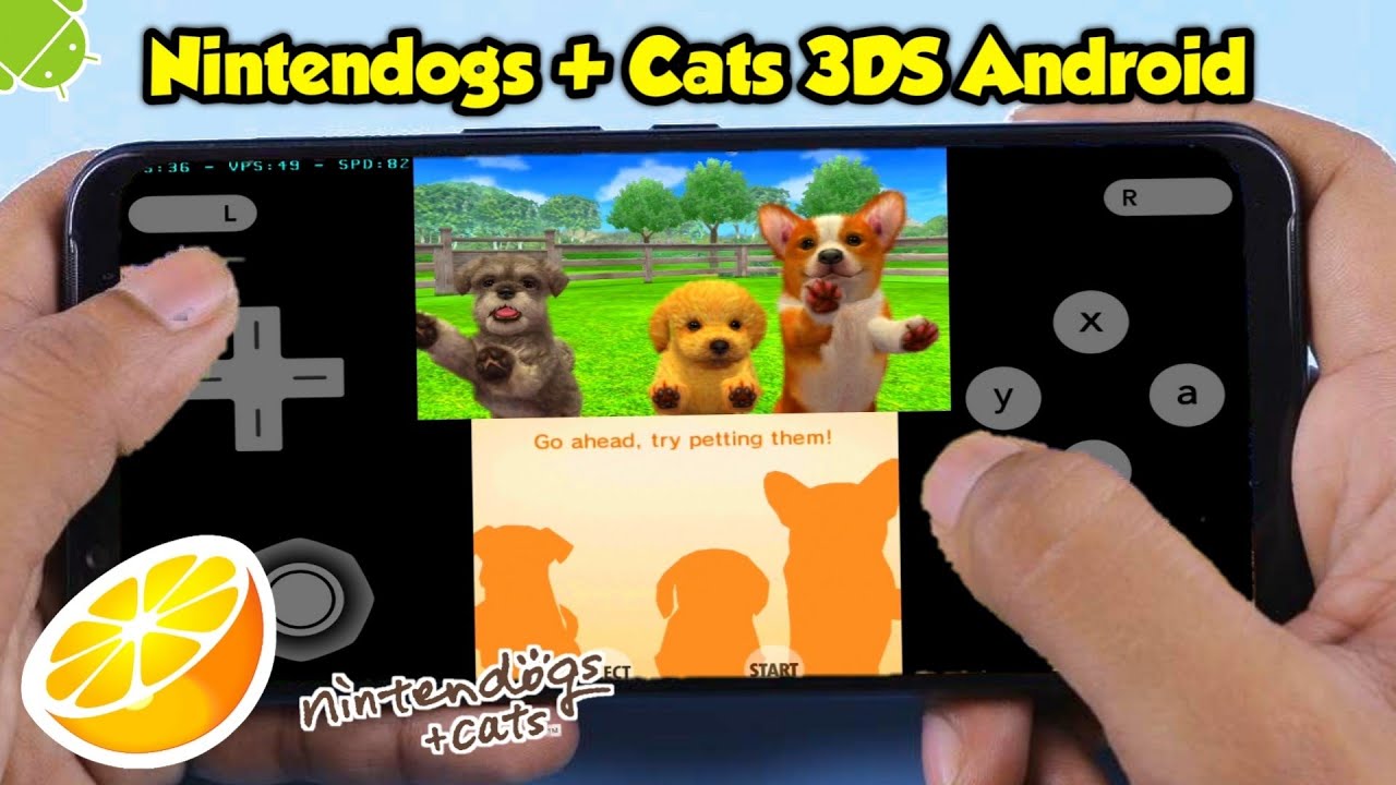 Nintendogs + Cats (3DS) Android Gameplay - Full Speed - Citra MMJ - Device Pocophone F1
