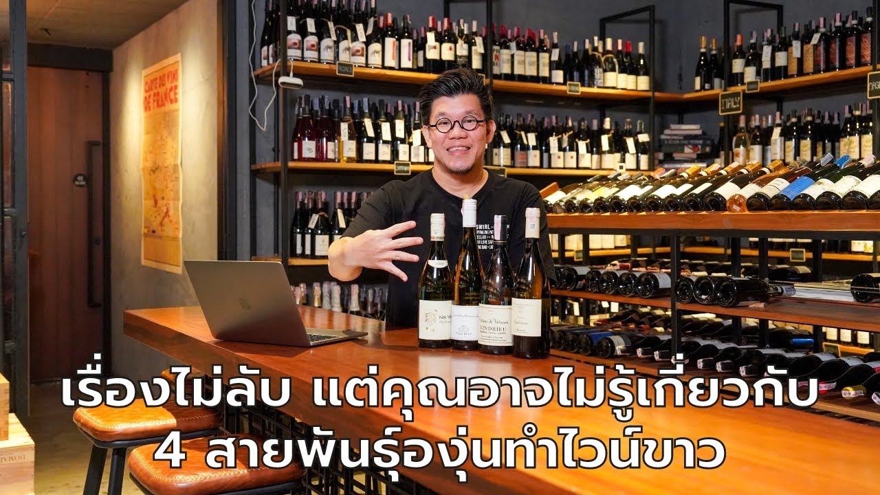 เรื่องไม่ลับ แต่คุณอาจไม่รู้เกี่ยวกับ 4 สายพันธุ์องุ่นทำไวน์ขาว | Swirl Experience