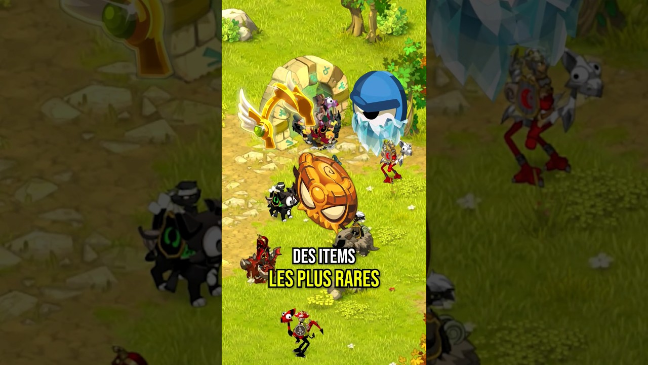 3 items TR&Egrave;S RARES sur Dofus Touch !