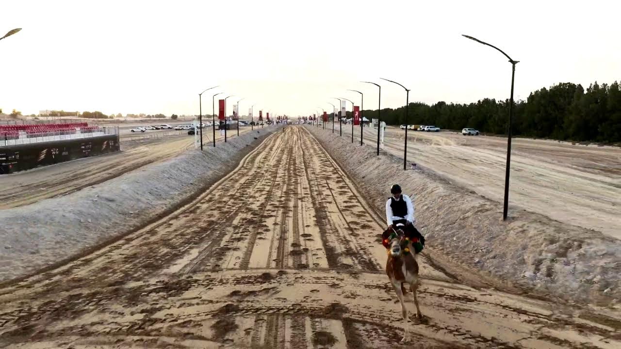 كاس فزاع للعرضة 2026