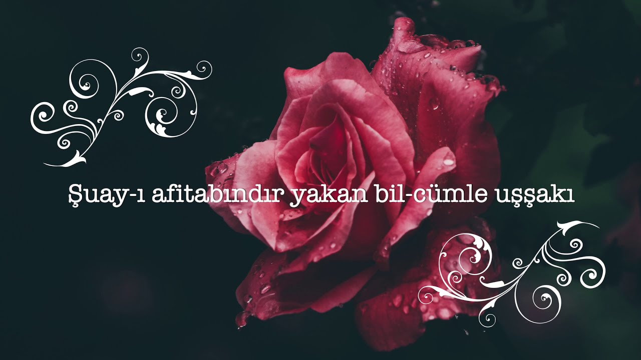 TECELLAYI CEMALİNDEN HABİBİM NEVBAHAR ATEŞ  - AHMET GÜL