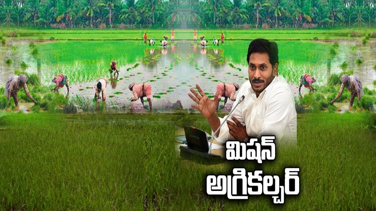 AP CM YS Jagan Review Meeting With Agriculture Mission | Rythu bharosa Scheme For Tenant Farmers