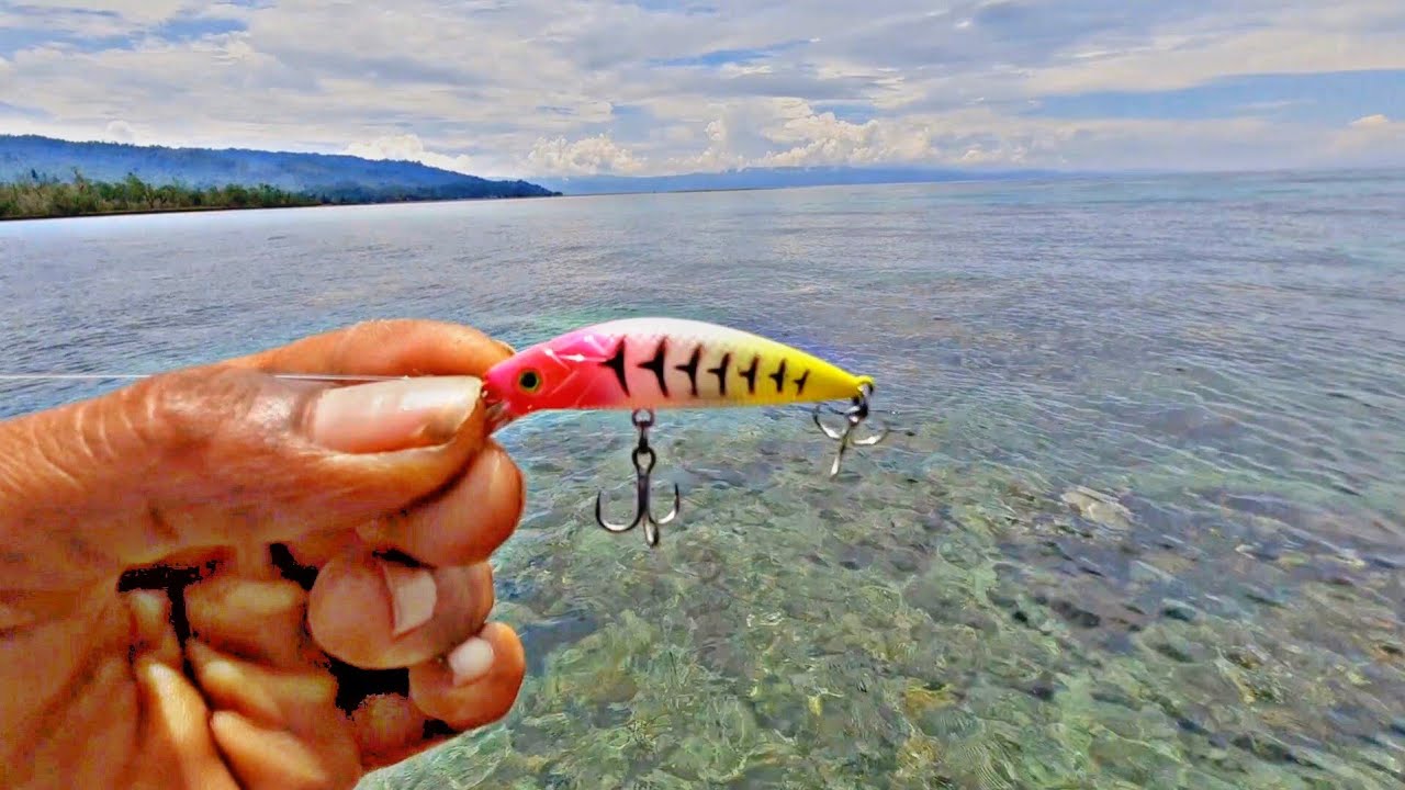 Cara Mancing Casting Dikarang Dangkal Menggunakan Minow Singking