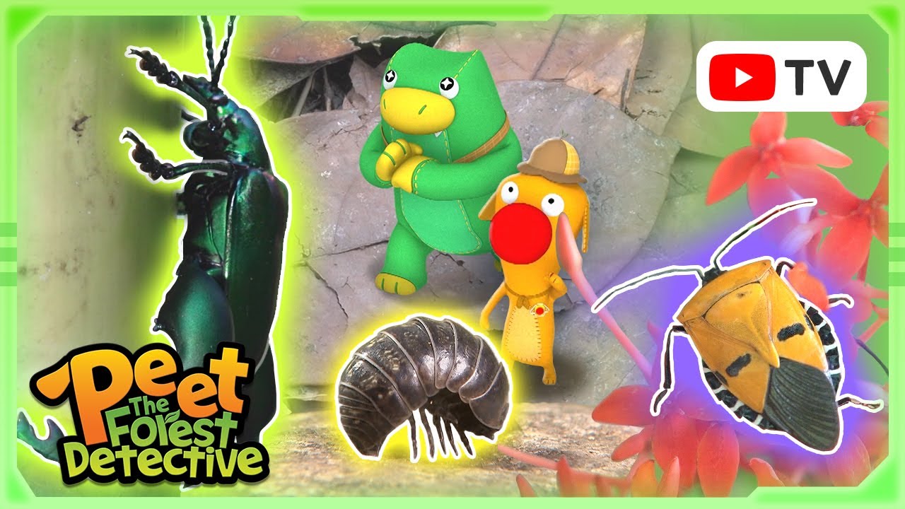 The Horned Insect Hunter! 🔍🦗 | Animal Stories For Kids | Peet The Forest Detective