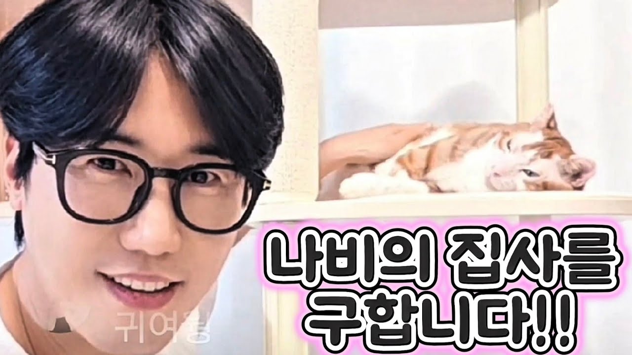 라방에서 개냥이 나비의 집사를 구하는#신성