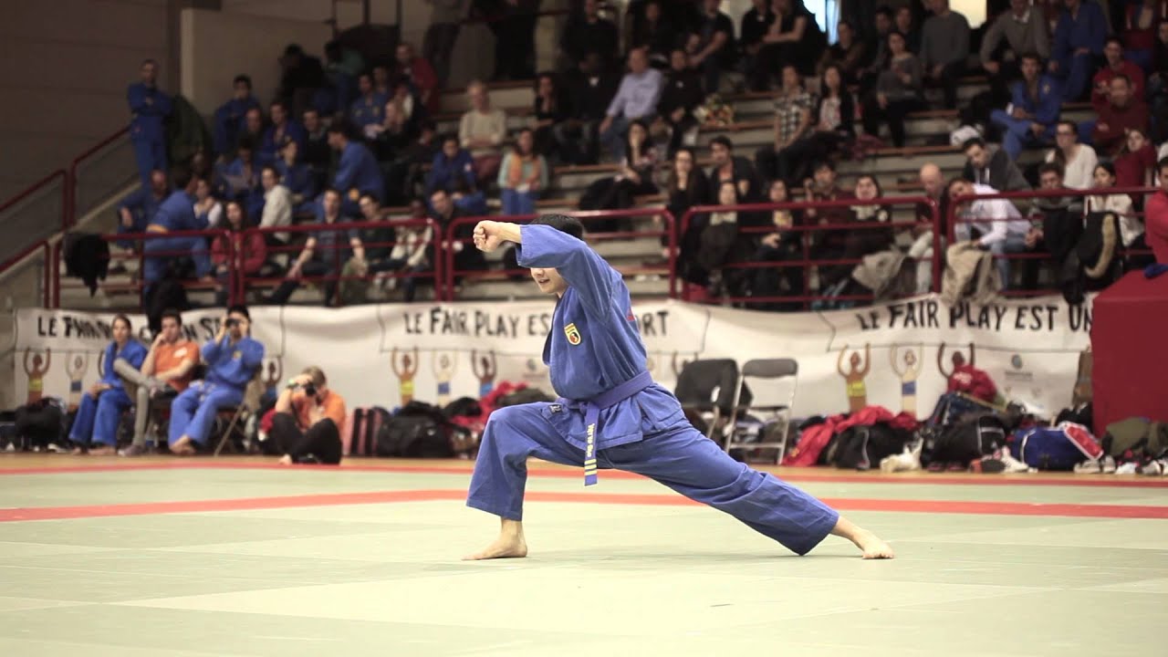 Final Long Ho Quyen - 9th Vovinam European Cup, Liege 2016 (HD)