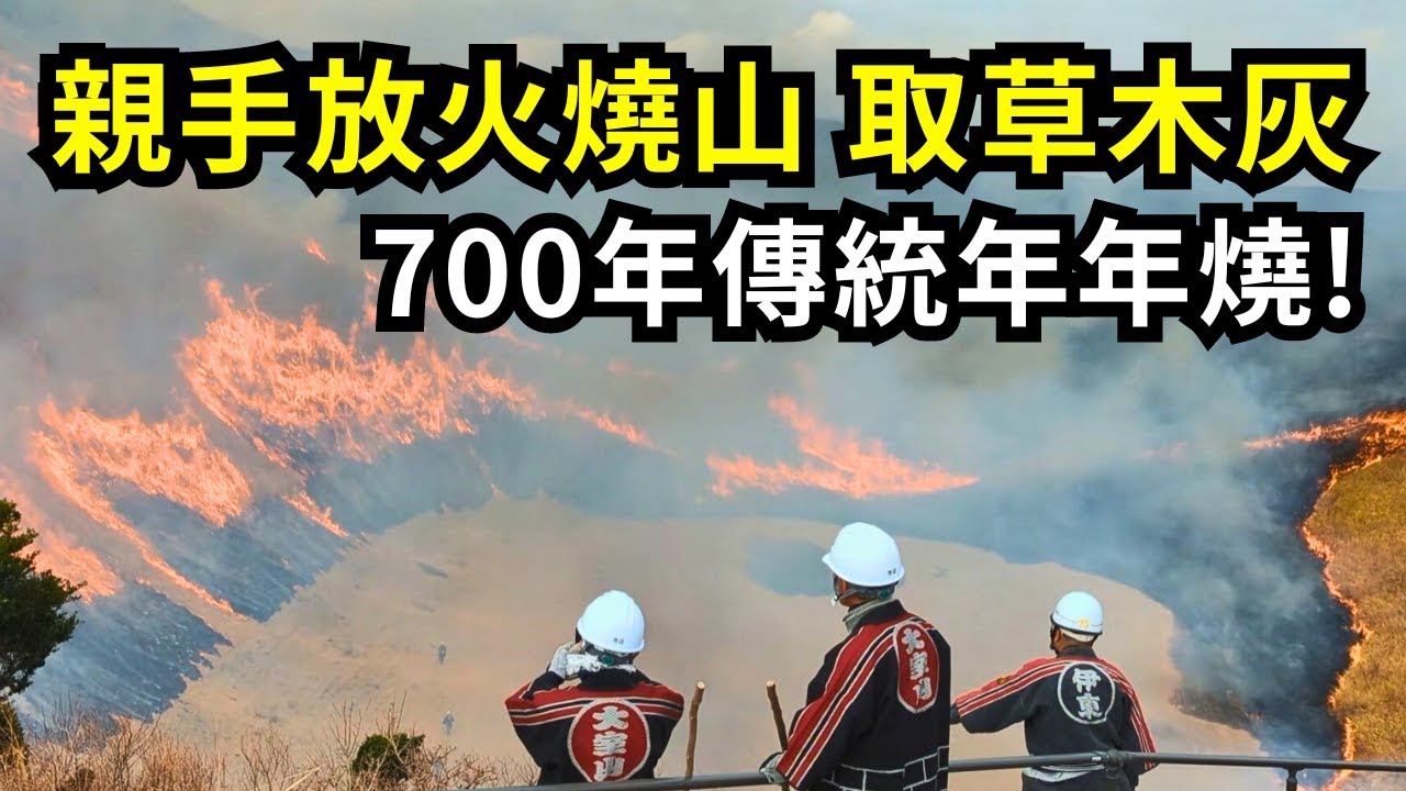 火燒山過程親眼目睹，滿山草木灰作何用?700年流傳下來的燒山技術，日本靜岡伊豆大室山觀光活動 | 阿星種植