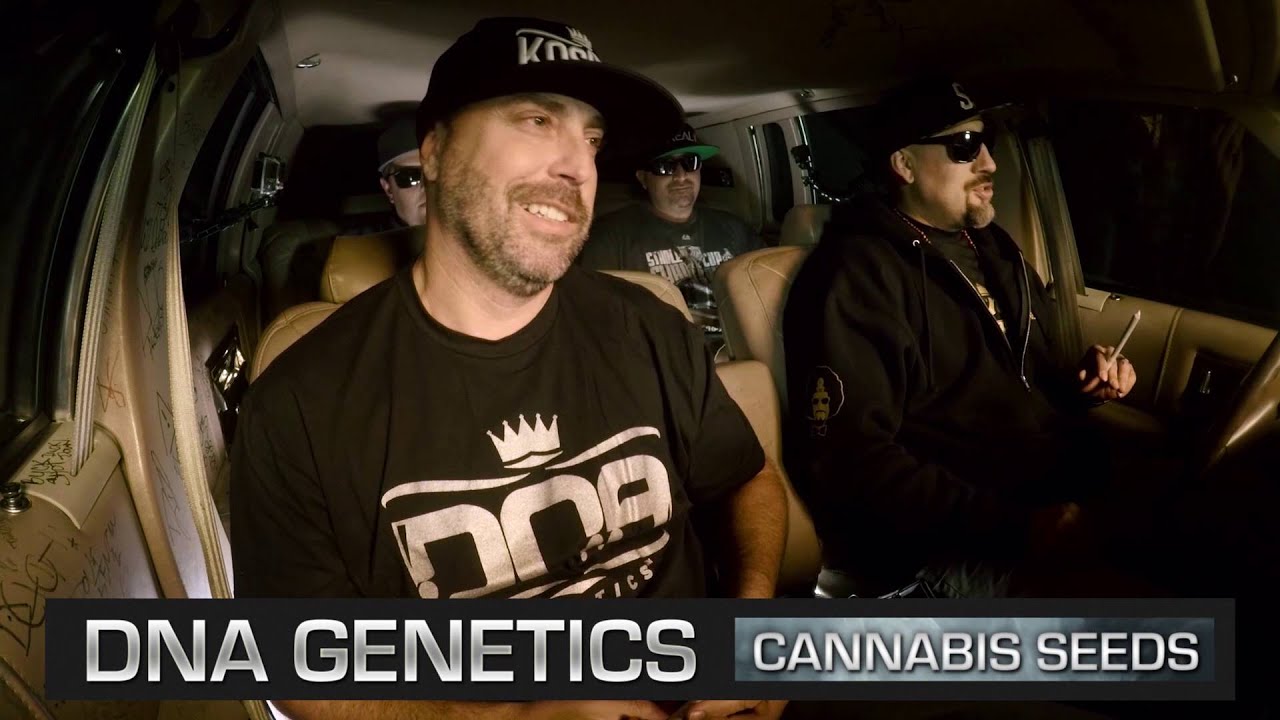 DNA Genetics - The Smokebox | BREALTV