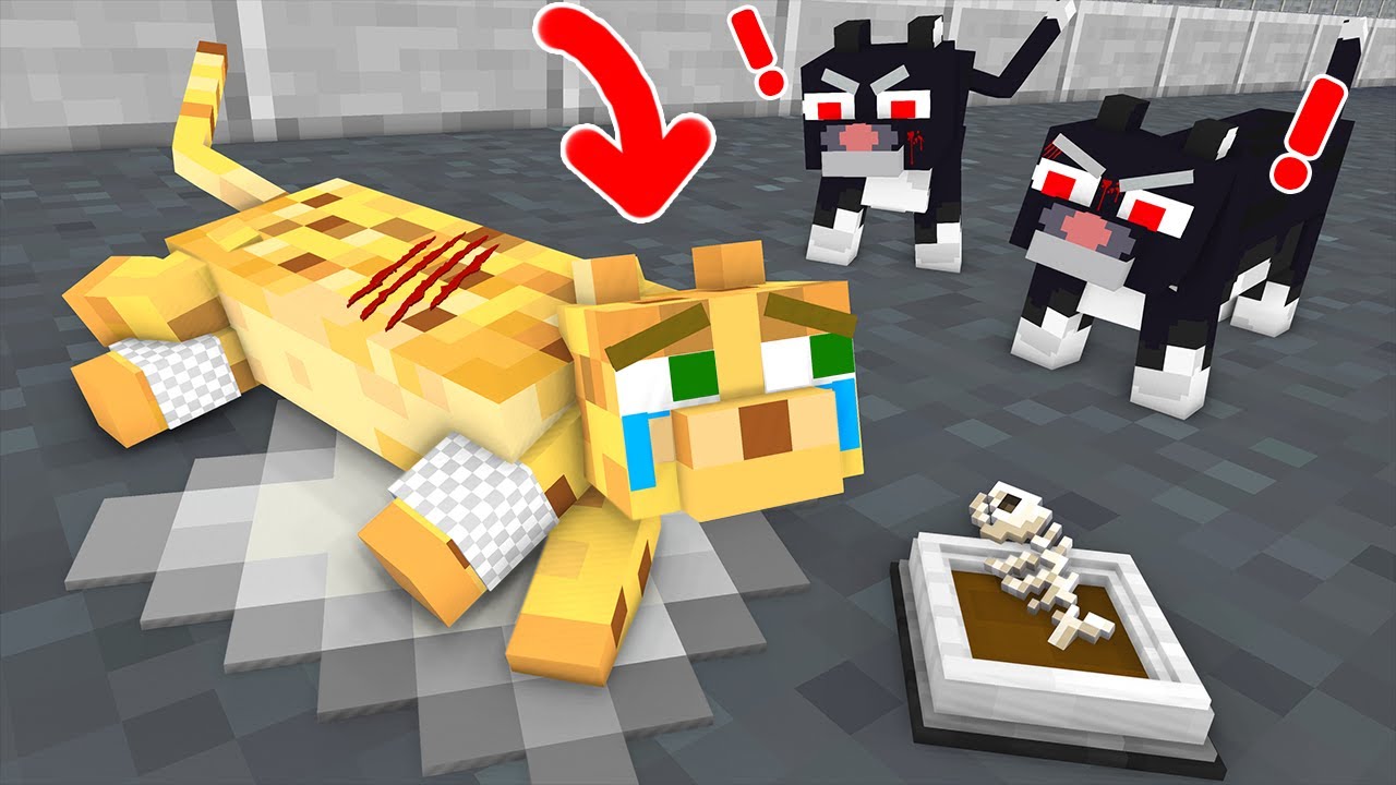 Poor Cat Can't Walk - Sad Story - Minecraft Animation
