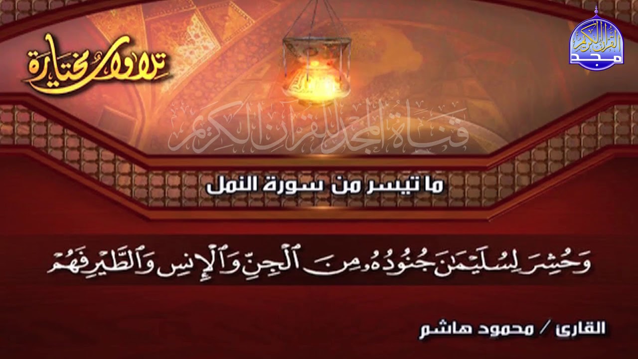جديد المجد || ما تيسر من سورة 