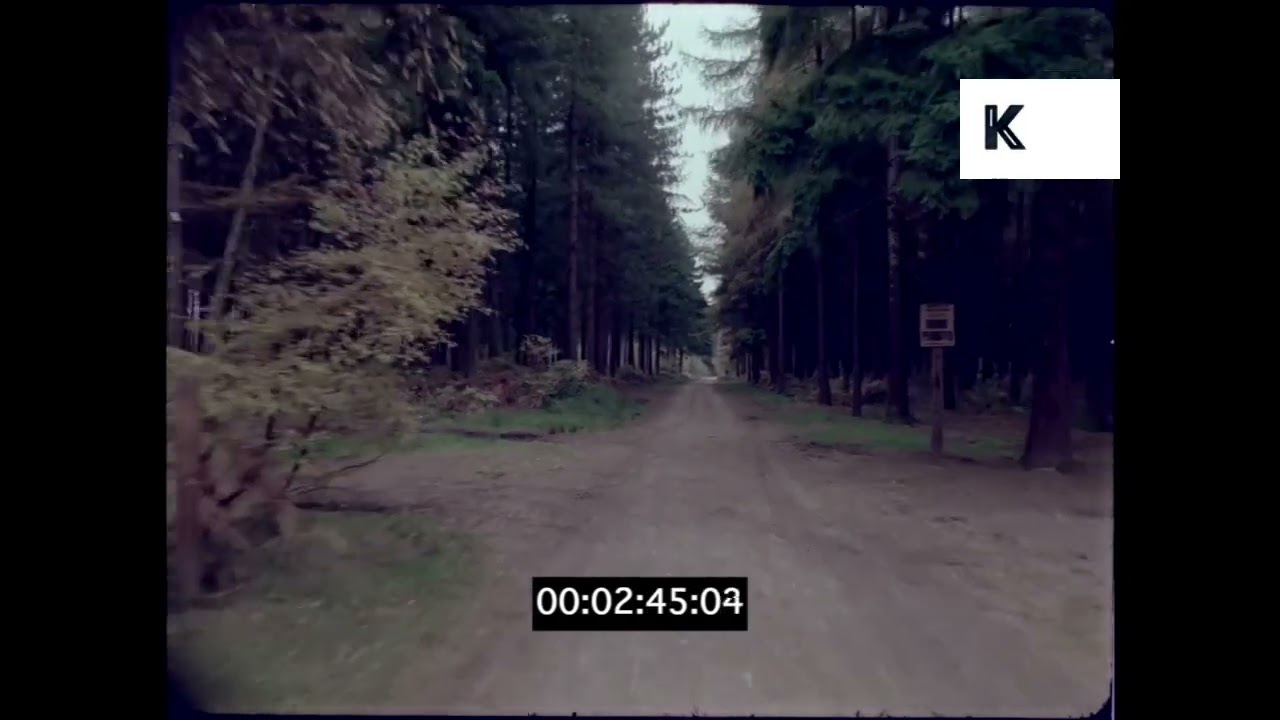 POV Driving through Forest Lane, Countryside, UK 35mm