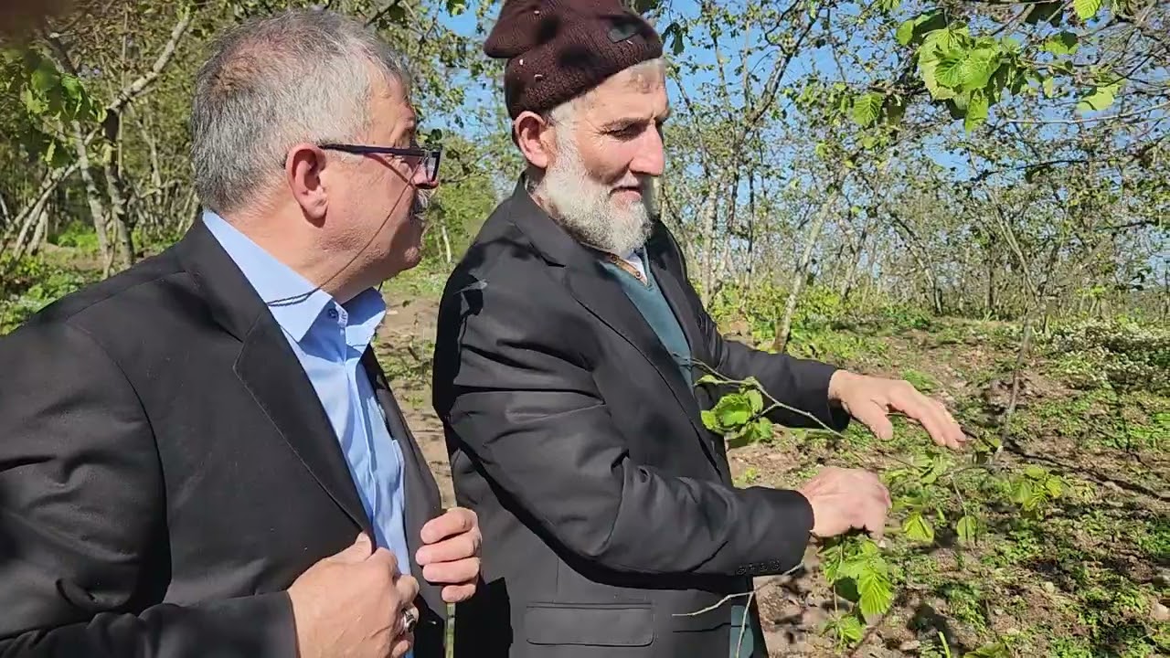18 Nisan 2025 Zirai dondan yanan fındık tekrar verime yatar mı 0543 445 12 55 Aysa organik