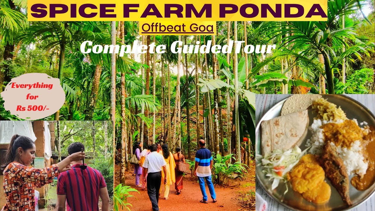Spice Farm Ponda Goa Detailed Tour | Off-Beat Goa| Fry Fish Goan Style Lunch| Fenny | Goa Vlog 2022